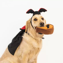 Load image into Gallery viewer, Zippypaws Halloween Costume Kit – Dracula