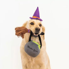Load image into Gallery viewer, Zippypaws Halloween Costume Kit – Witch