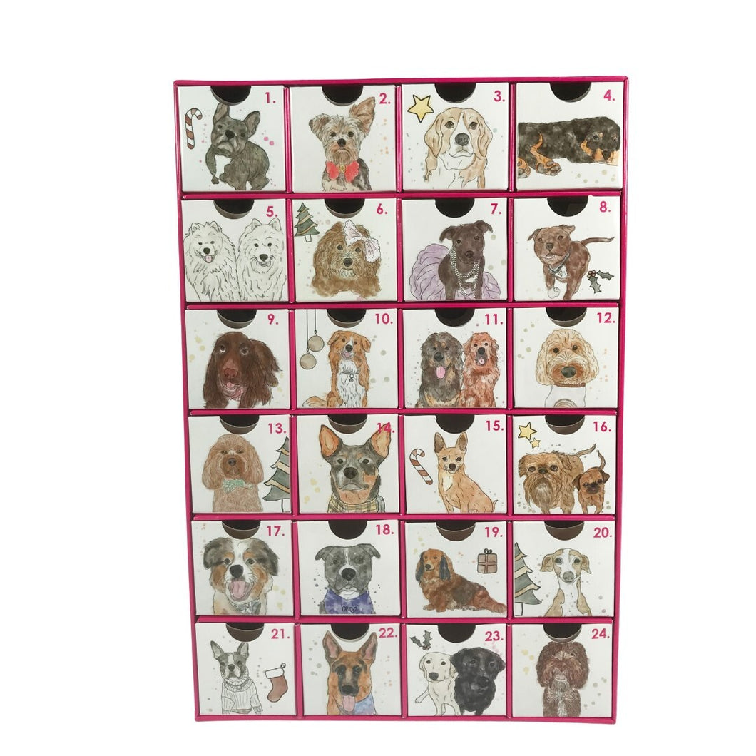 Laila and Me Christmas 2021 Advent Calendar with Treats for Dogs & Cats