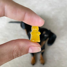 Load image into Gallery viewer, Laila and Me DIY Probiotic Gummi Bear Mix Powder or Gummi Bear Kit for Dogs