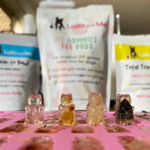 Load image into Gallery viewer, Laila and Me DIY Probiotic Gummi Bear Mix Powder or Gummi Bear Kit for Dogs