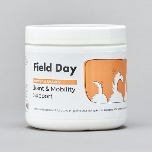 Field Day Mover and Shaker Joint & Mobility Support
