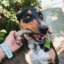 Load image into Gallery viewer, Wag Whole Deer Antler