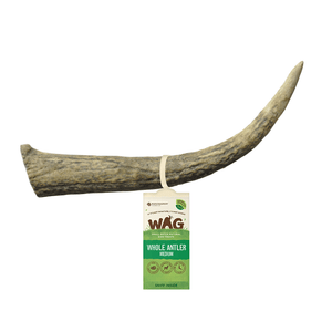 Wag Whole Deer Antler