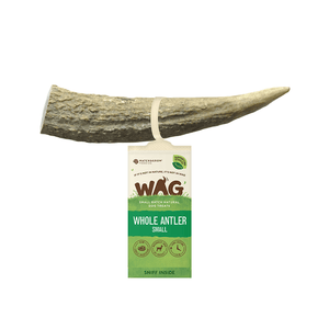 Wag Whole Deer Antler