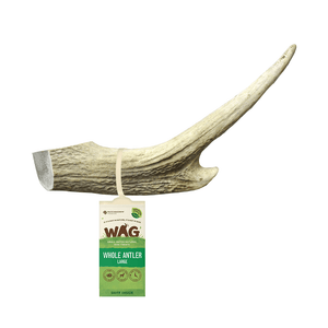 Wag Whole Deer Antler