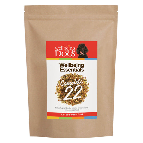 Wellbeing For Dogs