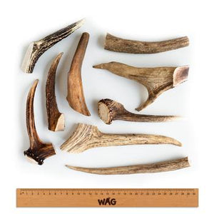 Wag Whole Deer Antler